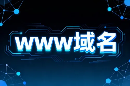 www域名要怎么进行注册？