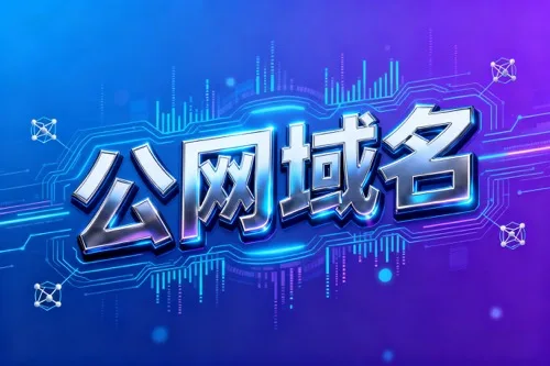 公网域名