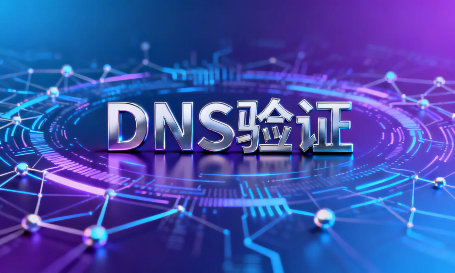 DNS验证