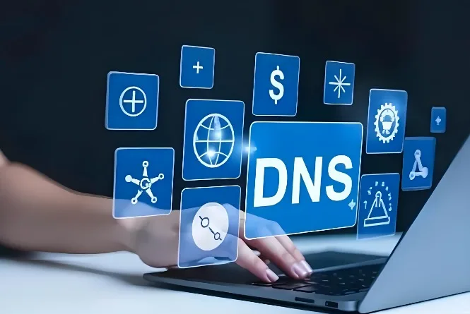 DNS地址