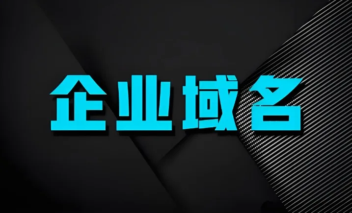 企业域名