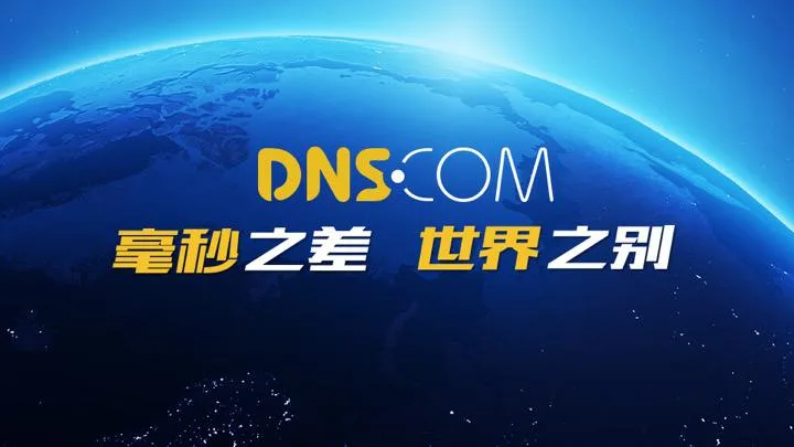 51dns.com