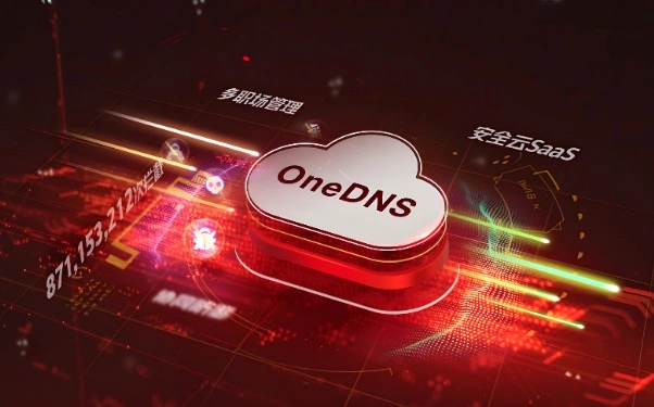 DNS选择