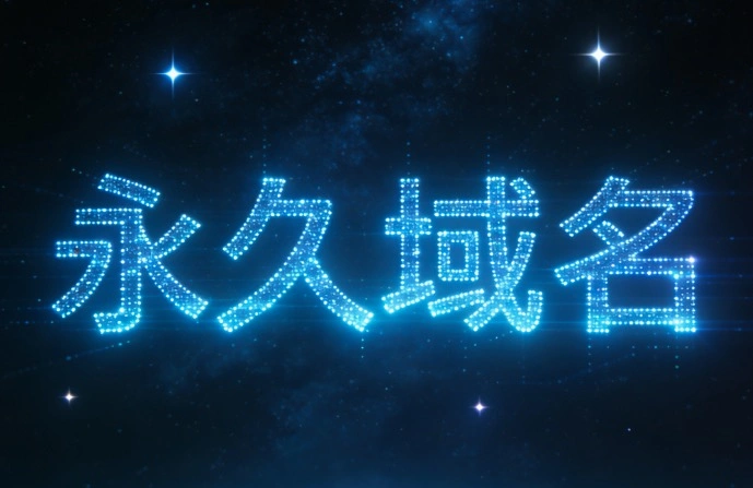 永久域名
