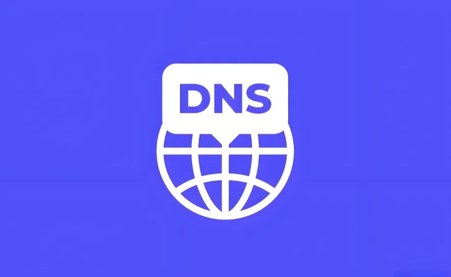 DNS域名正则