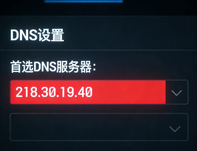 首选DNS地址
