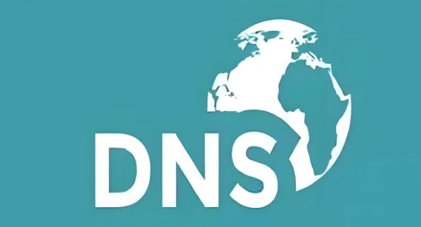 无法解析DNS地址了怎么办？