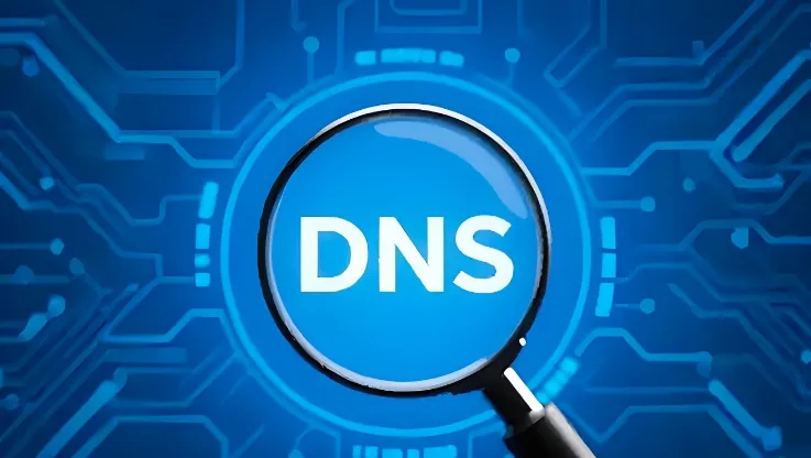 DNS查询