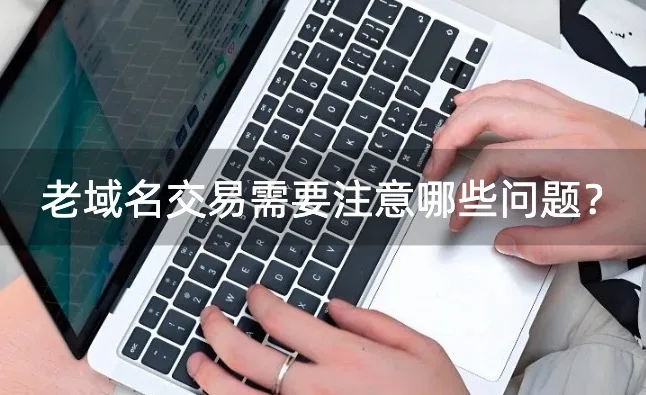 老域名交易
