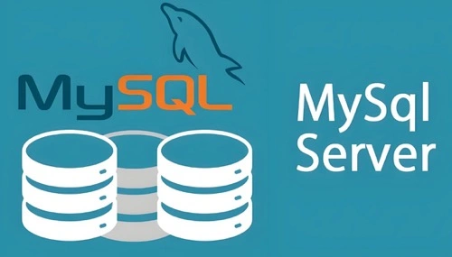 MySQL数据库