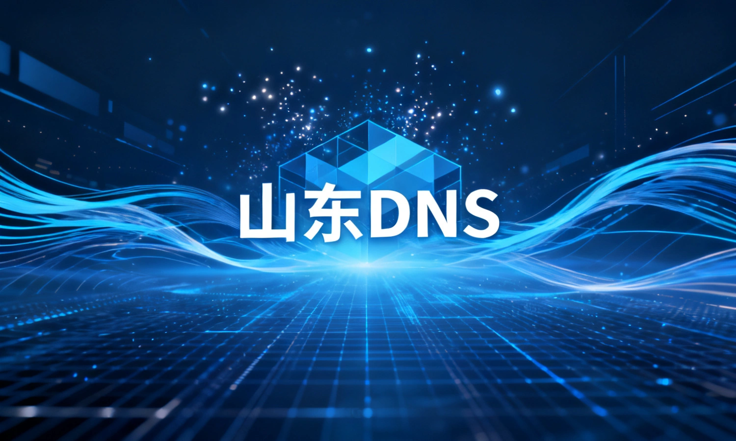 山东DNS