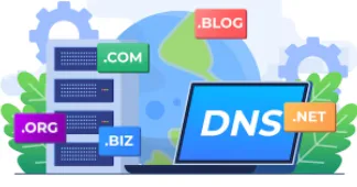 DNS解析