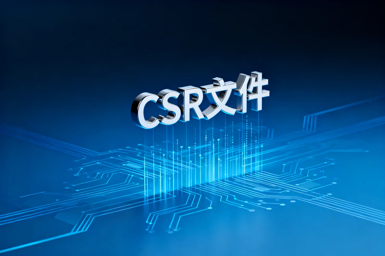 CSR文件