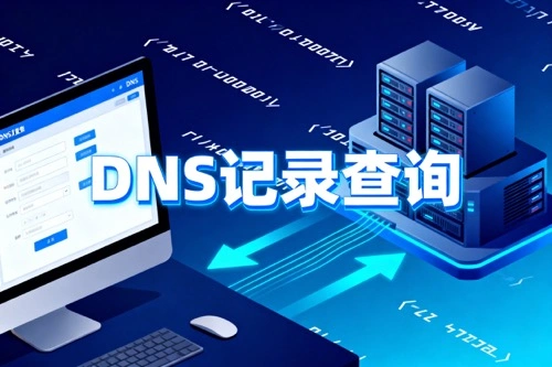 DNS记录查询