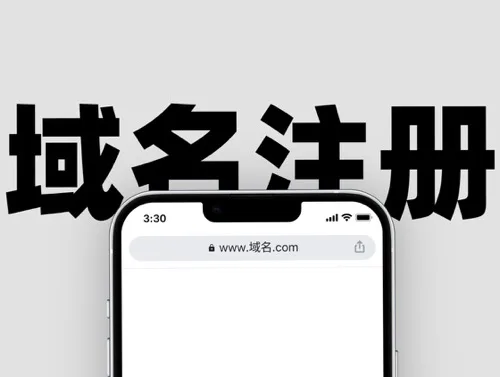 网站域名