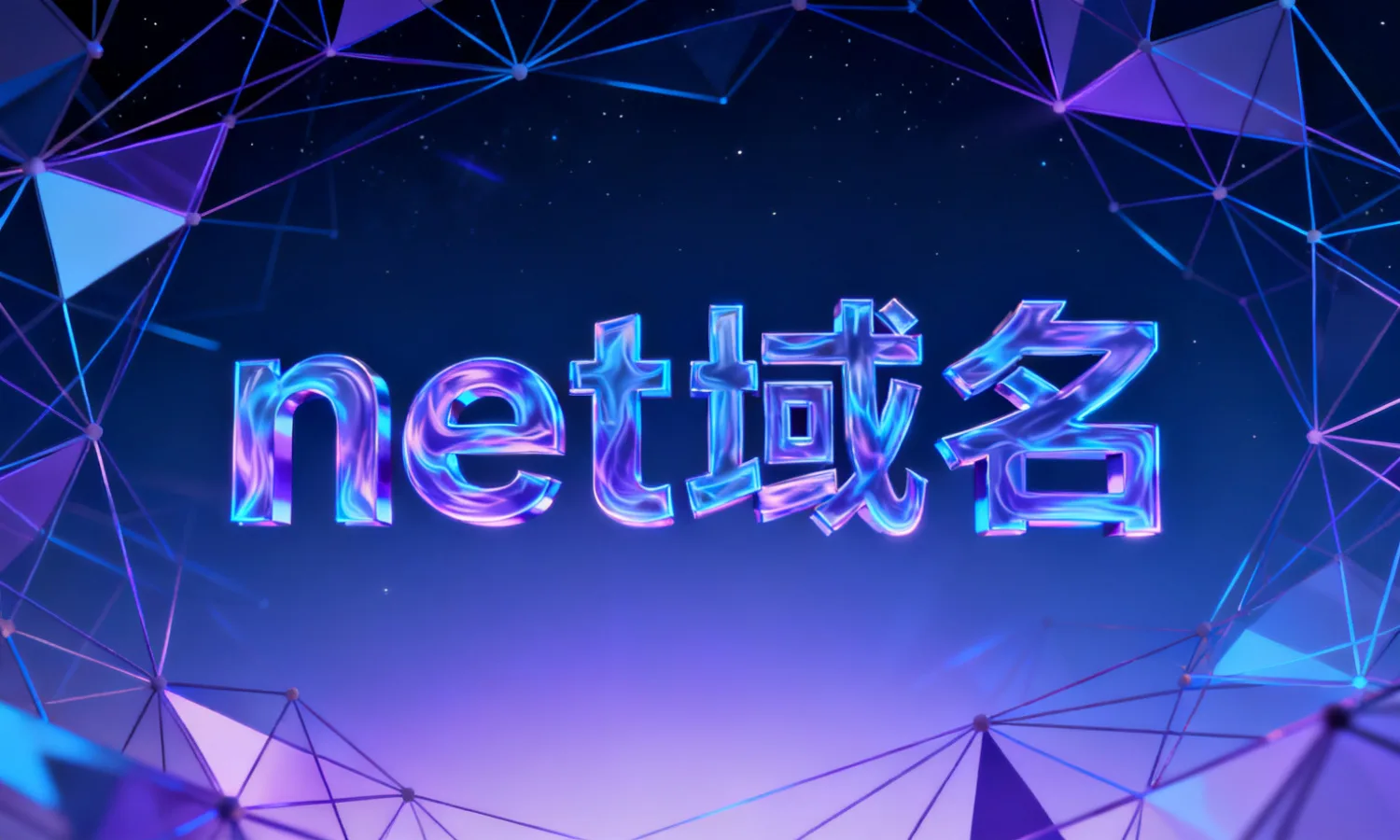 net域名