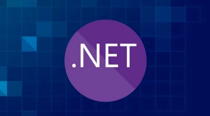 net域名