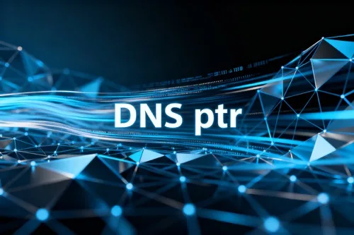 DNS ptr