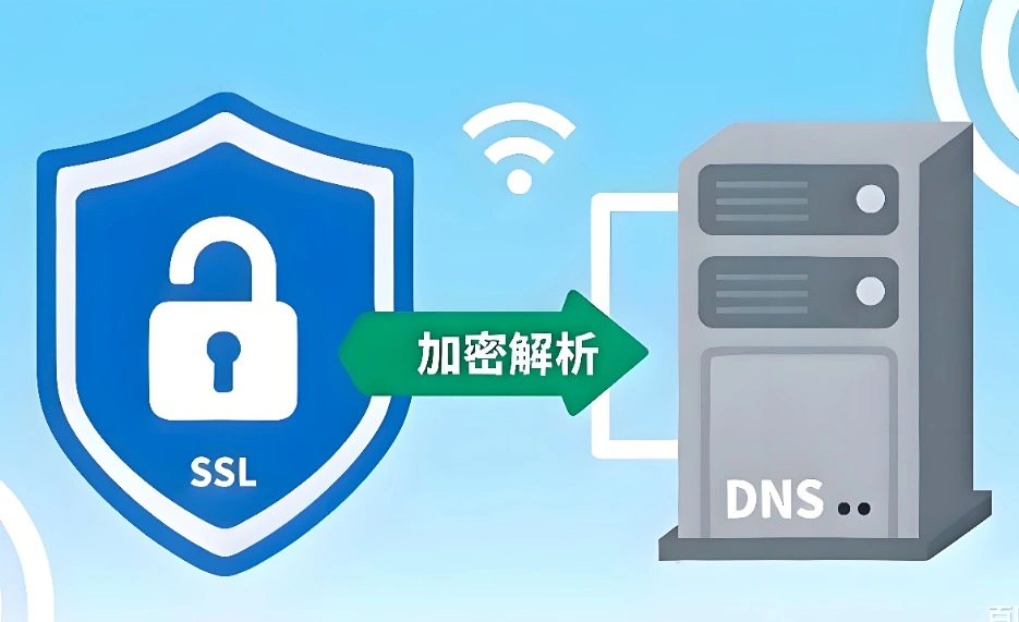 DNS安全维护