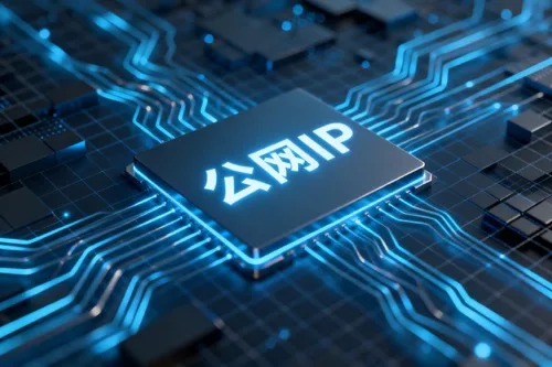 公网IP是什么网络标识？