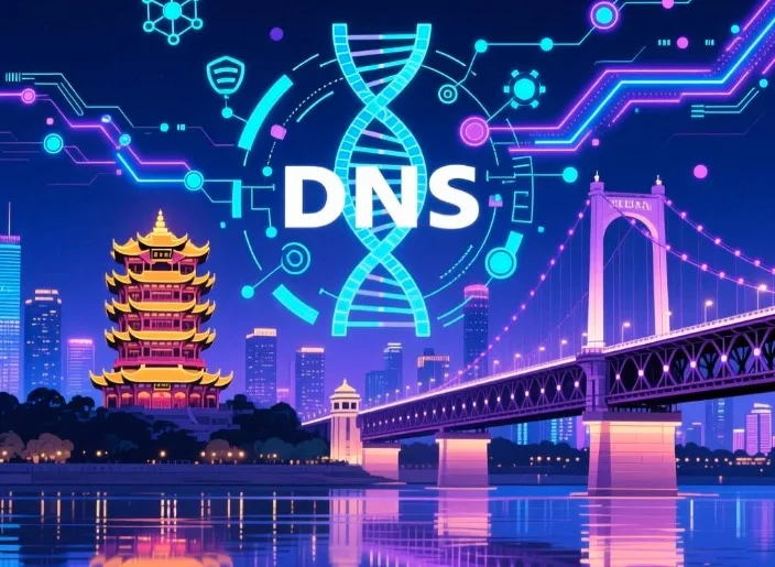 武汉DNS