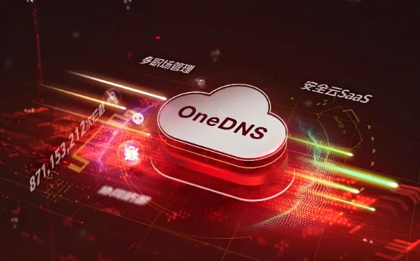 DNS选择