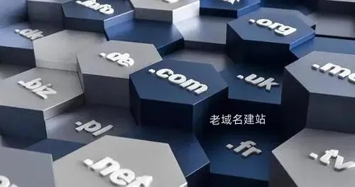 老域名建站