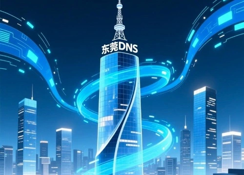 东莞DNS地址