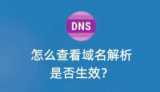 查看域名解析