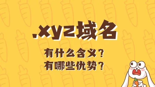 xyz域名