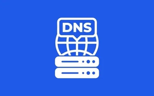 DNS缓存