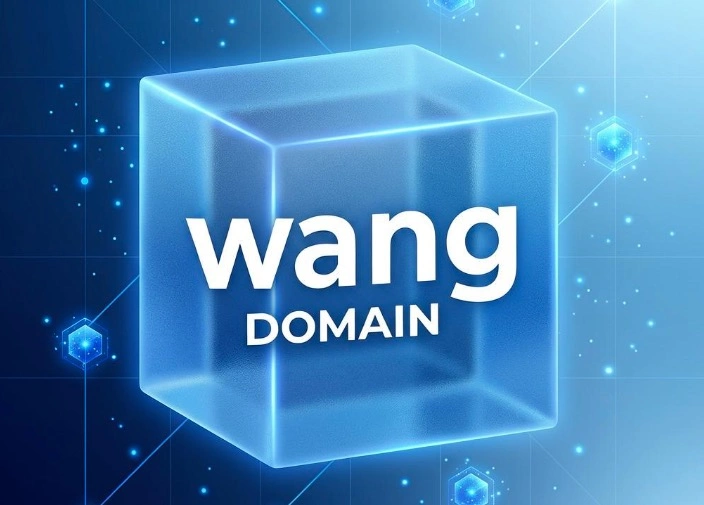 wang域名