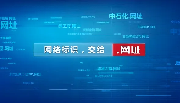 中文域名,域名注册