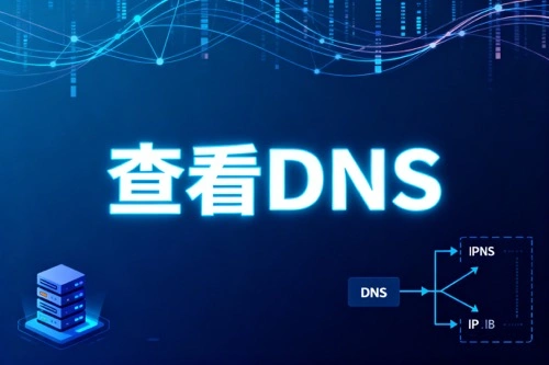 查看DNS