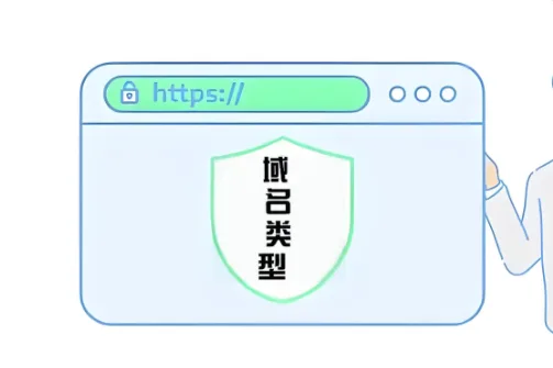 域名类型