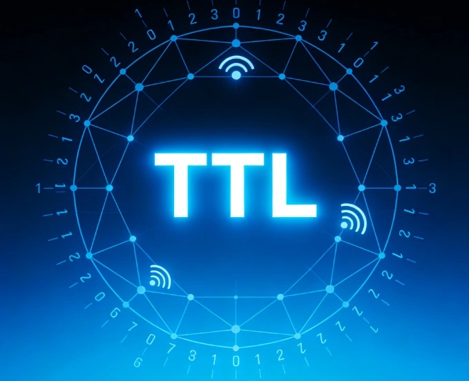 TTL值