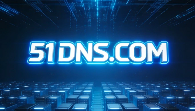 51DNS.COM