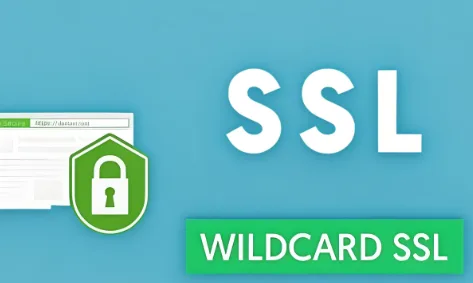 SSL证书