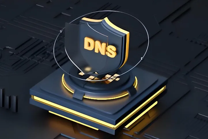 DNS服务器