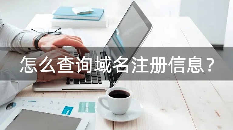 域名注册信息