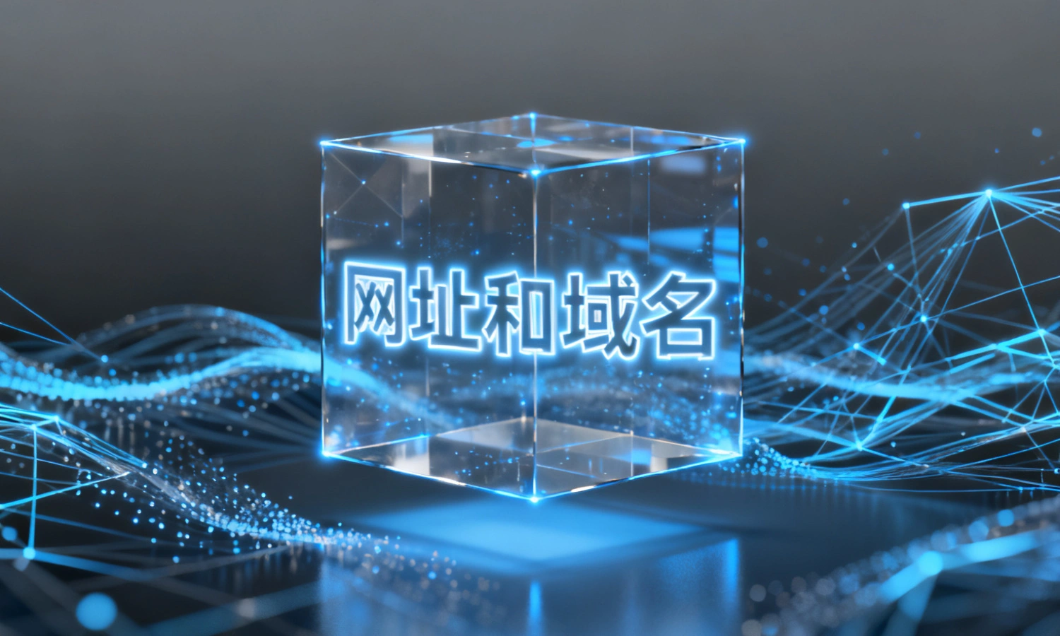 网址和域名
