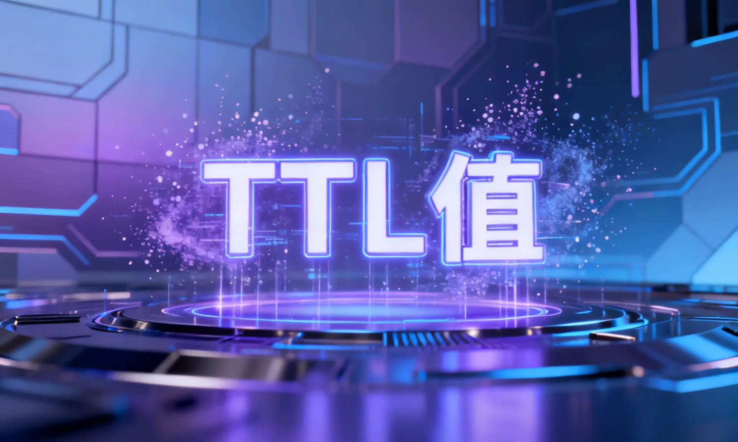 TTL值