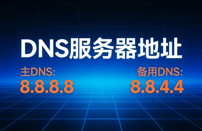 DNS服务器地址