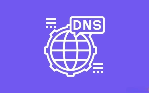 DNS查询