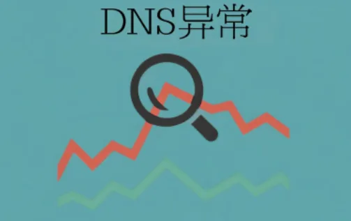 DNS异常