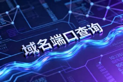 域名端口查询