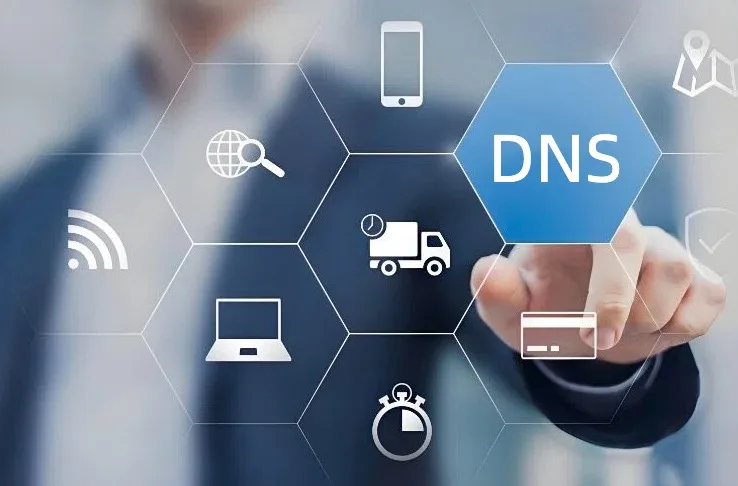 DNS查询