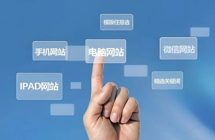 域名网站