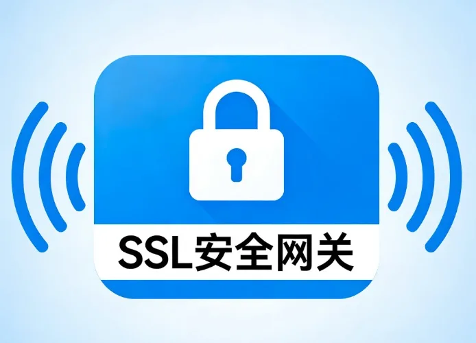 SSL安全网关