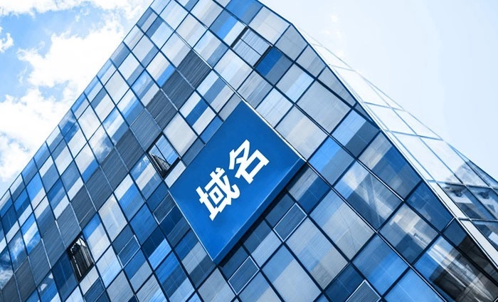 公司域名